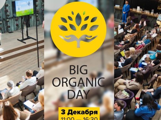 Анонс: 3 декабря в Format Loft состоится крупнейшее предновогоднее событие в стиле эко - Big Organic Day