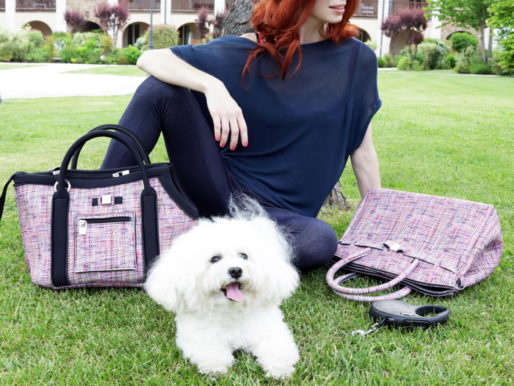 Save my dog! Итальянский бренд Save My Bag выпустил капсулу сумок-переносок для маленьких собак и щенков